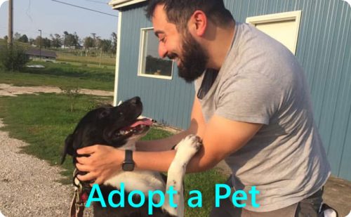 tamacounty_humanesociety_adopt