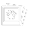 Tama County Humane Society Icon photo stack with paw print