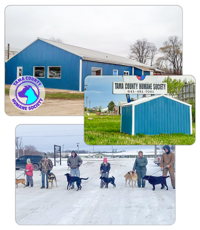 Tama County Humane Society Facility Images and group of people with their dogs
