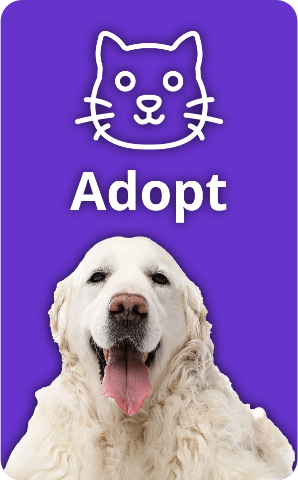 Tama-County-Humane-Society-Adopt-Button