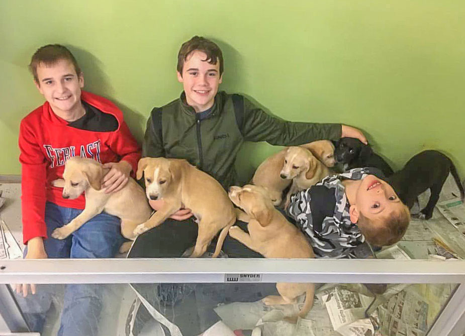Tama-County-Humane-Society-donate